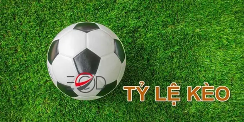 Cách thức cập nhật tỷ lệ kèo bóng đá hôm nay tại King88