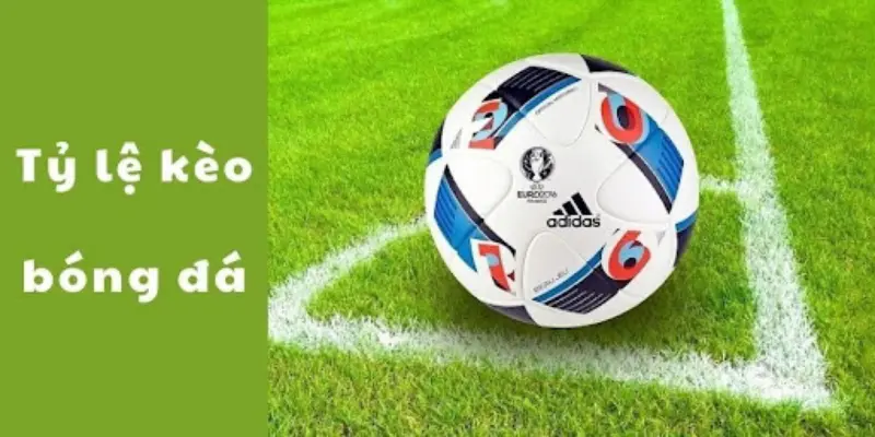 Tỷ Lệ Kèo Cá Cược Bóng Đá Hôm Nay - Hướng Dẫn Cách Đọc Tại King88